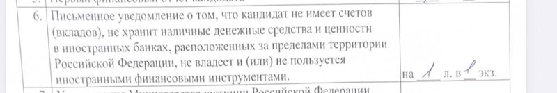 Избиркомы Петербурга начали массово «терять» сданные кандидатами документы