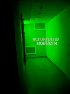 Иллюстрация 6