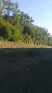 Прилет БПЛА «Герань-4 сикер» по локомотиву в Запорожской области