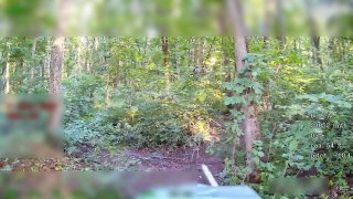 Операторы БПЛА группировки «Север» уничтожили технику ВСУ в Сумской области