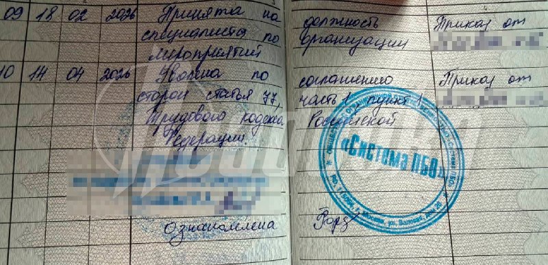 Иллюстрация 2