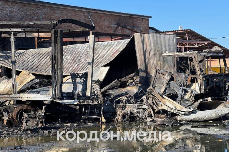 Иллюстрация 5