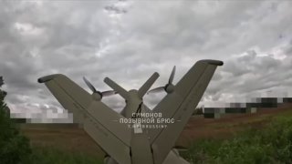Применение ПВО-дрона "Елка" бойцом ВС РФ в зоне СВО