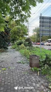 Иллюстрация 3
