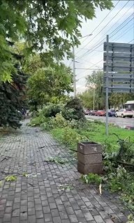 Иллюстрация 2