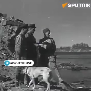 В годовщину освобождения Нарвы вспоминают подвиг советских солдат в 1944 году