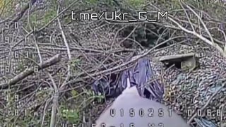 Операторы FPV-дронов Южной группировки войск ведут активную охоту на Славянском направлении