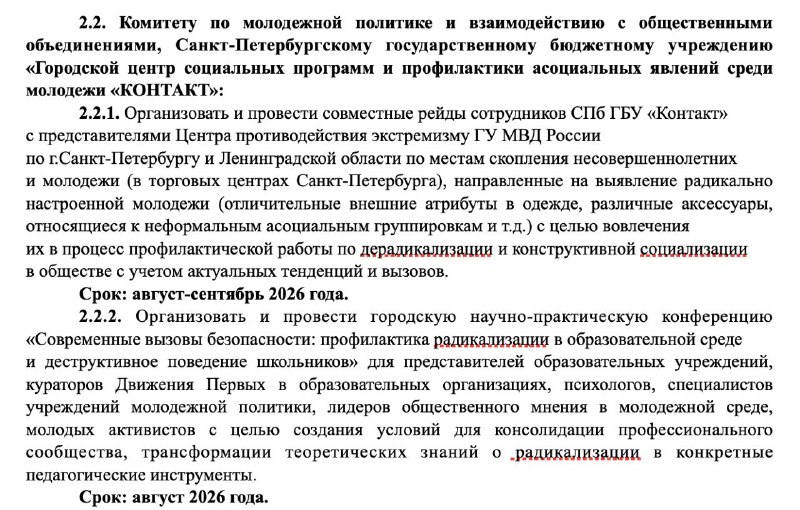 В Питере планируют рейды по ТЦ и создание студенческих кибердружин для контроля за подростками