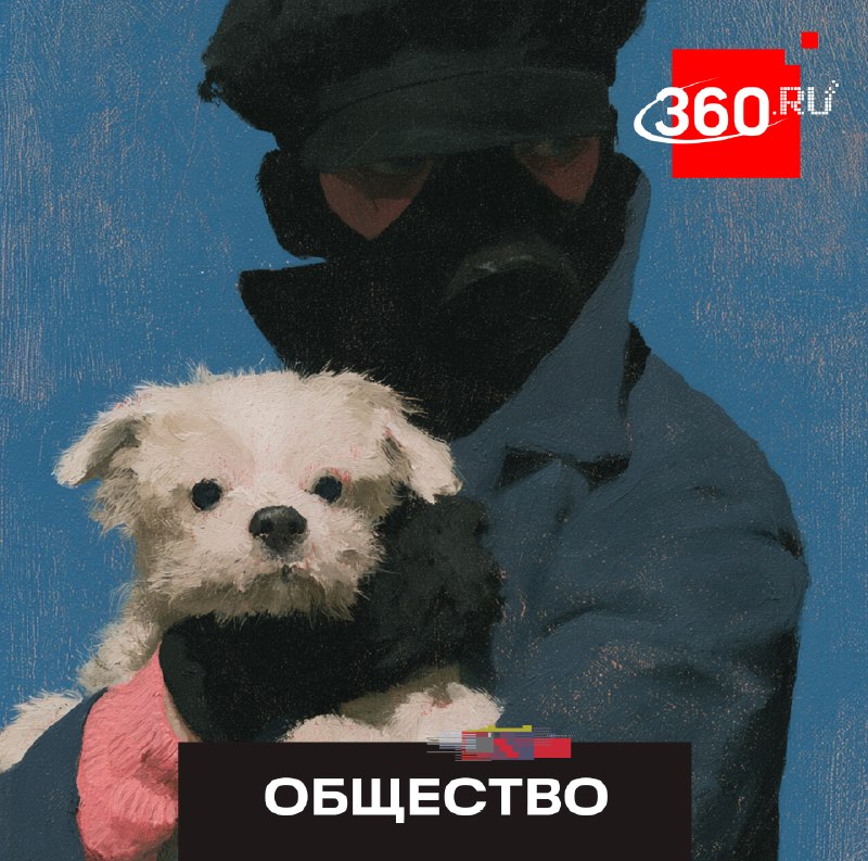 Как защитить питомца от похищения и что делать в случае кражи собаки
