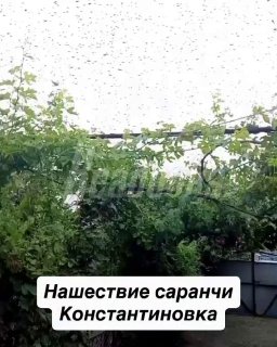 Иллюстрация 2