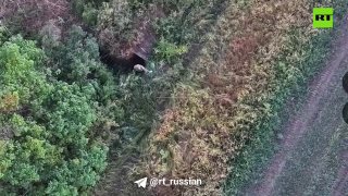 Российские военные уничтожили пункт управления дронами ВСУ в Николаевке