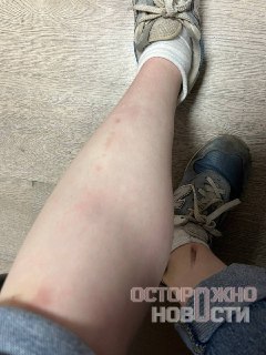 Иллюстрация 1