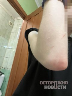 Иллюстрация 4