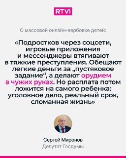 Миронов предложил создать спецподразделения в МВД для защиты детей от вербовки в сети