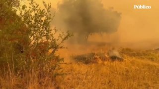 Испания столкнулась с трудностями в тушении пожаров из-за отсутствия вертолетов РФ