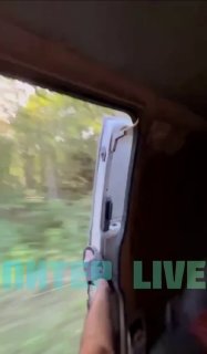В Ленобласти сняли эпичное видео с исчезновением собаки