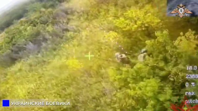Иллюстрация 2