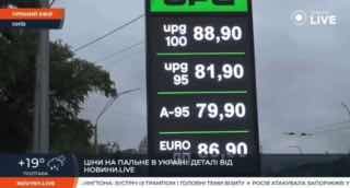 Кризис украинского агросектора: избыток урожая и проблемы с экспортом