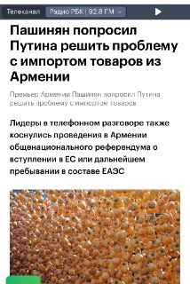 Критика политики помощи странам-«попрошайкам» и отношений с Арменией