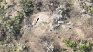 Расчёты БпЛА группировки «Восток» уничтожили малые группы противника