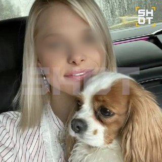 В Подмосковье собака помогла найти тело пропавшей женщины; подозревается сожитель