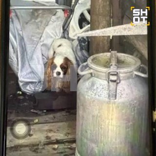 Иллюстрация 3