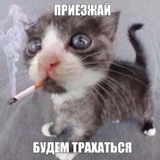 Гинеколог объяснила пользу секса для сна и снижения болевого синдрома