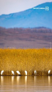 Иллюстрация 5