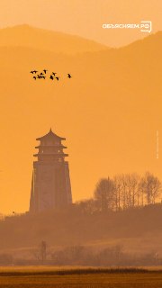 Иллюстрация 1