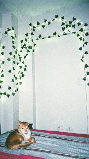Иллюстрация 2