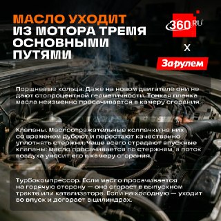 Иллюстрация 2