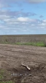 Иллюстрация 2