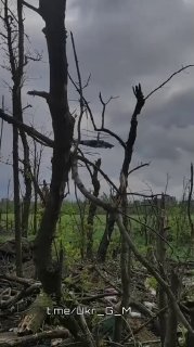 Иллюстрация 4