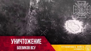 В Волчанском районе уничтожена группа украинских штурмовиков при попытке прорыва