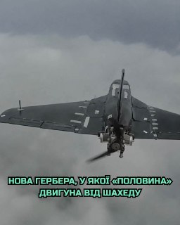 Иллюстрация 2