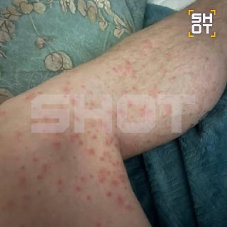 Иллюстрация 6