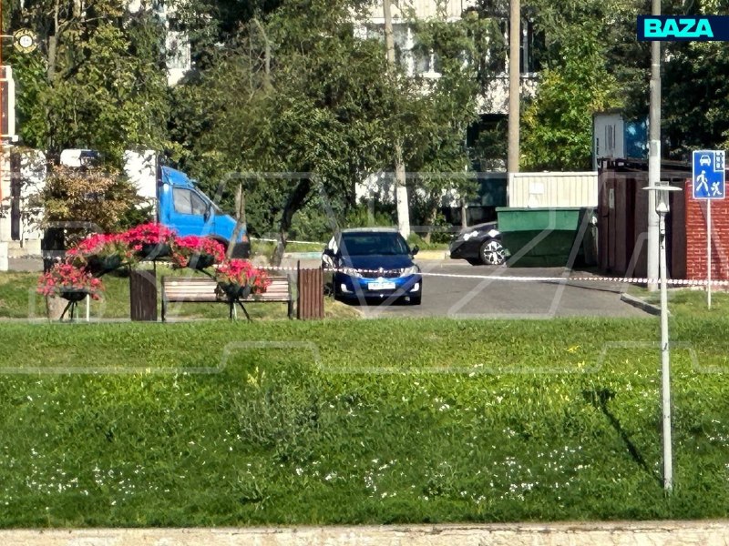 Иллюстрация 2