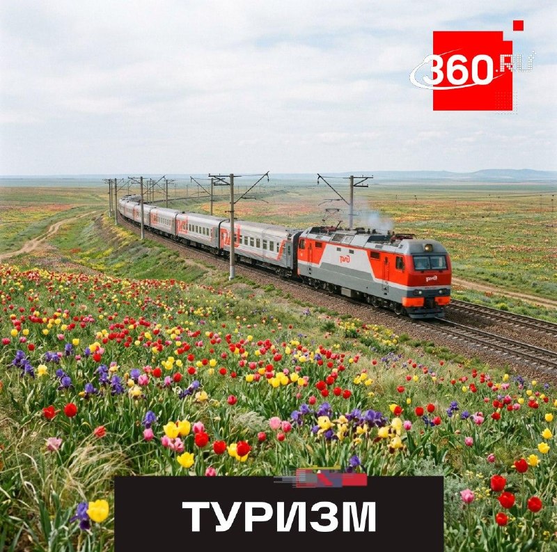 Куда отправиться на туристическом поезде: обзор маршрутов в России