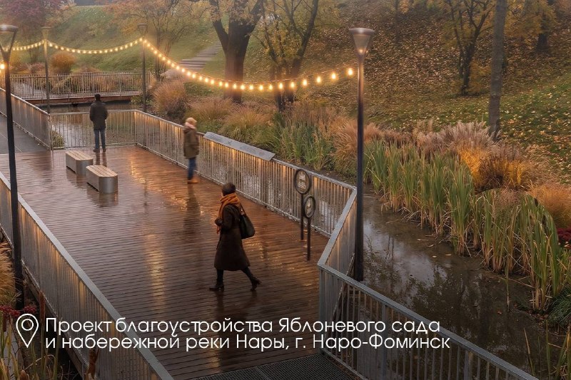 Иллюстрация 6