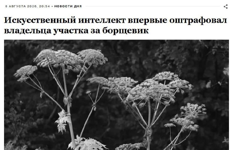 ИИ впервые выписал россиянину штраф за обнаруженный дроном борщевик