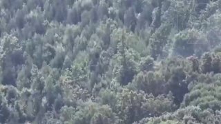 Уничтожение пушки Т-12 в Сумской области