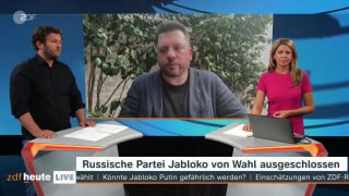 Волков в эфире немецкого ТВ сравнил влияние ФБК и партии «Яблоко»