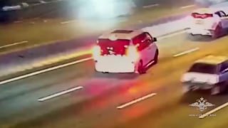 Автомобилисты помогли спасти собаку на МКАДе