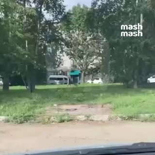 Новый стиль в Комсомольске-на-Амуре: дамы с кенгурятами