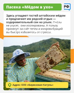 Иллюстрация 6