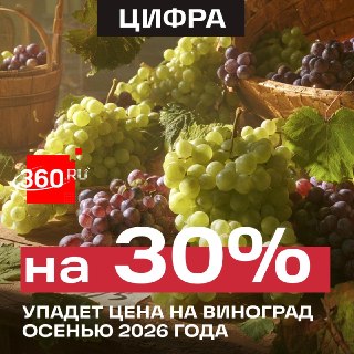 Виноград подешевеет этой осенью из-за рекордного урожая в Краснодарском крае