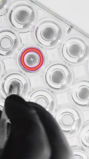 Леди Гага запустила биотехнологический стартап Outer Bio для исследований старения кожи