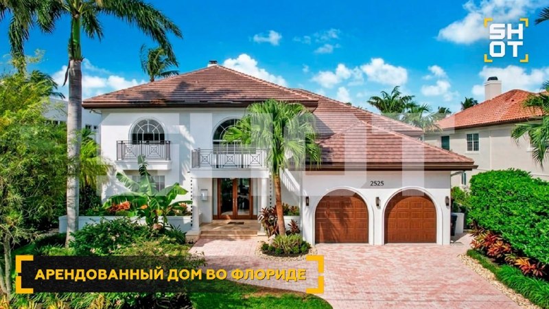 Иллюстрация 6