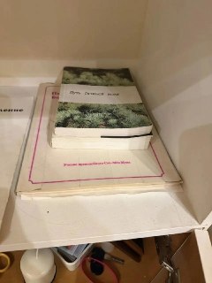 В Санкт-Петербурге пресечена деятельность секты «Церкви Объединения»