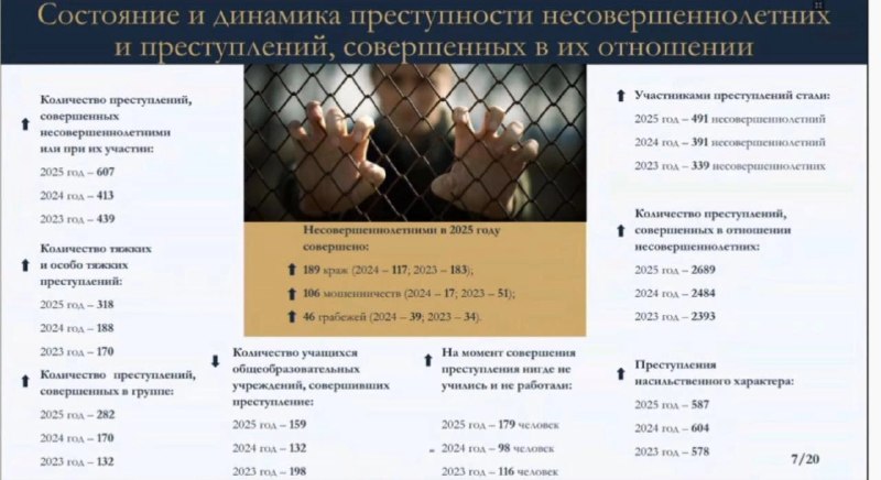 В Петербурге обсудили рост детской преступности и ограничение доступа детей к соцсетям